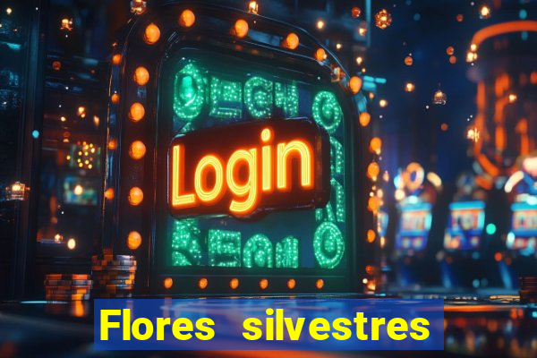 Flores silvestres brasileiras 25